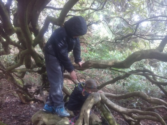 exploring_branches
